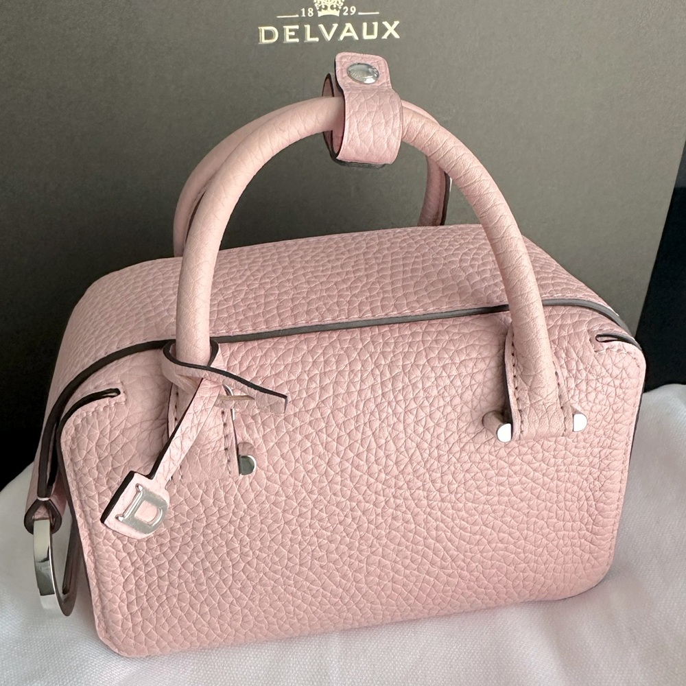 Delvaux cool box nano in bloom with silver hardware